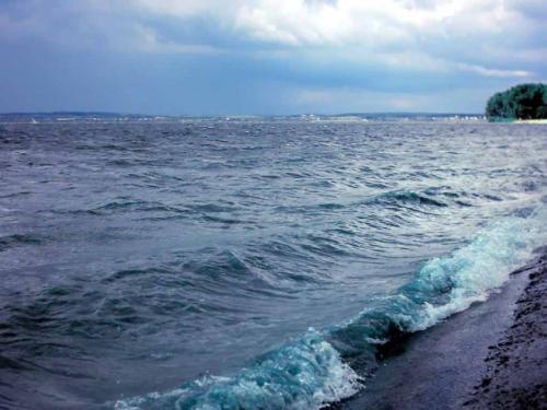 佳木斯新版，時代印記與變遷的見證者