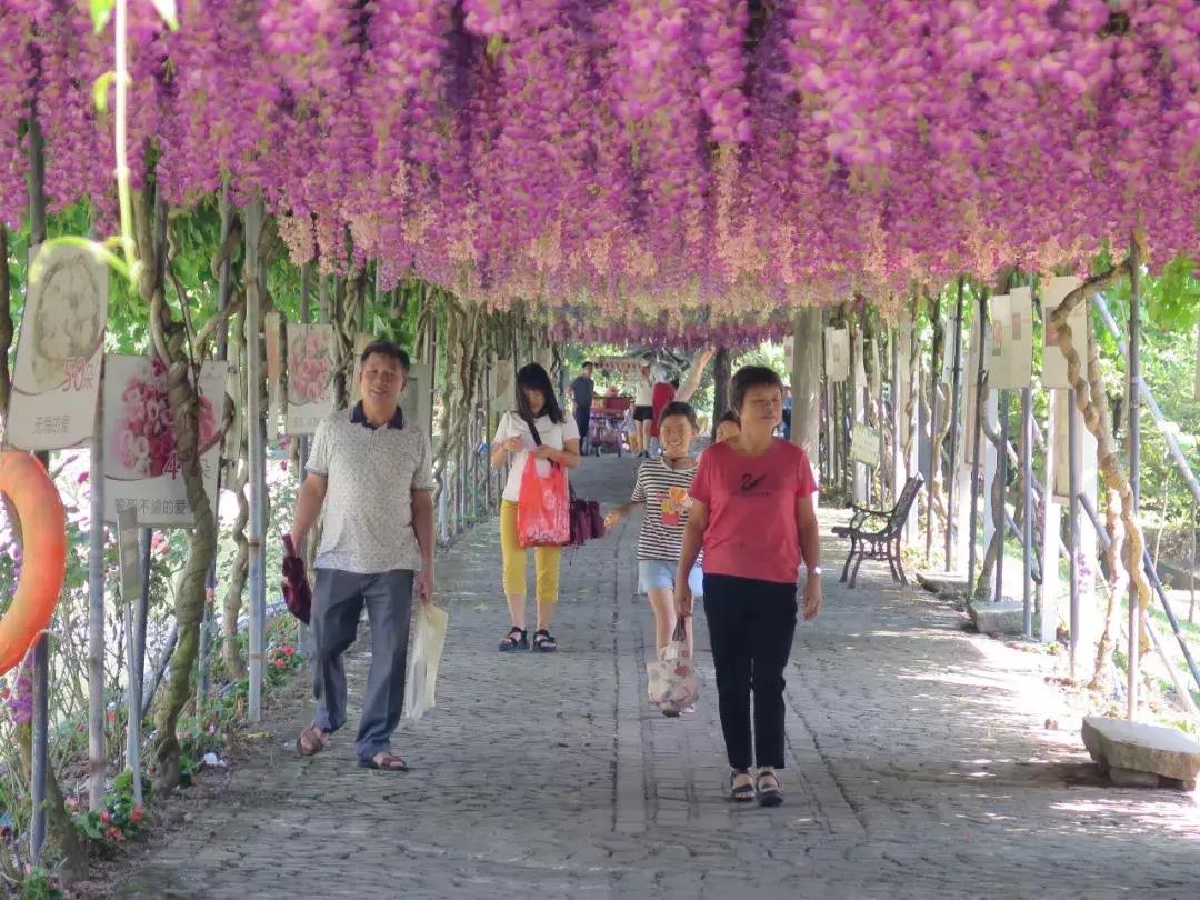 收入寶全新版本，家庭與友情的交織故事