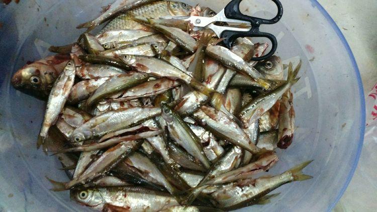 昆明最新野釣地點(diǎn)探索，重拾生活激情與自信的自然之旅