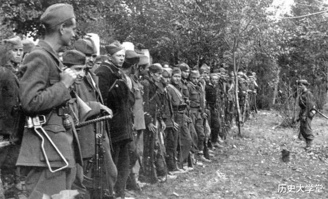 南斯拉夫電影二戰(zhàn)老片，自然美景背后的探索之旅