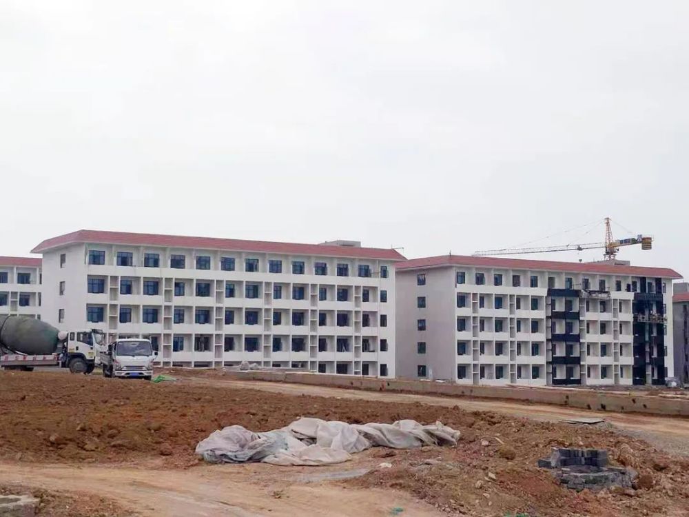 甘谷新聞，大石車禍最新進(jìn)展及觀點(diǎn)論述深度解析