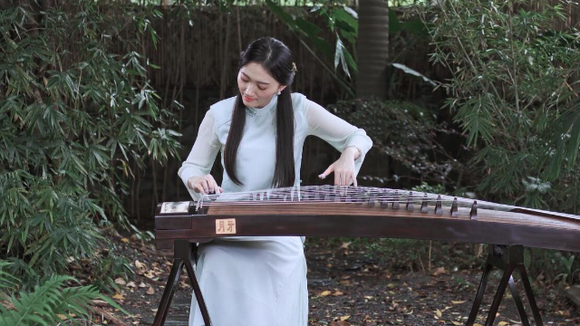 抖音最新琵琶演奏，古典與現(xiàn)代的完美融合之美