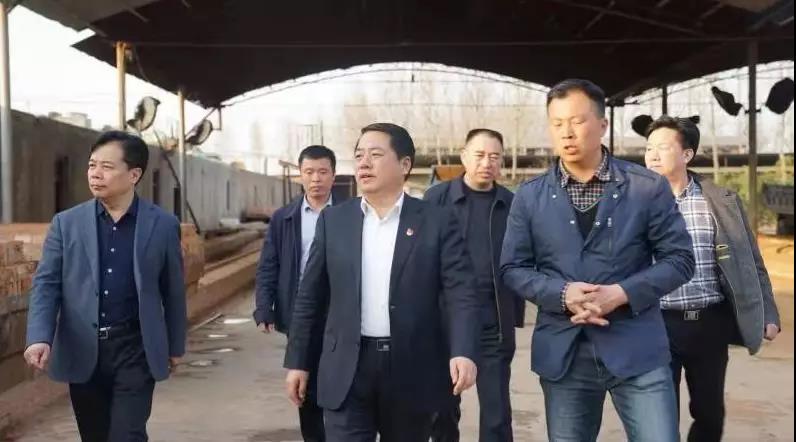 商丘王仲田最新動態(tài)，探索自然美景的旅行，尋求內心平和之旅