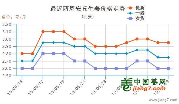 安丘大姜最新行情，機(jī)遇與自我超越的探尋之旅