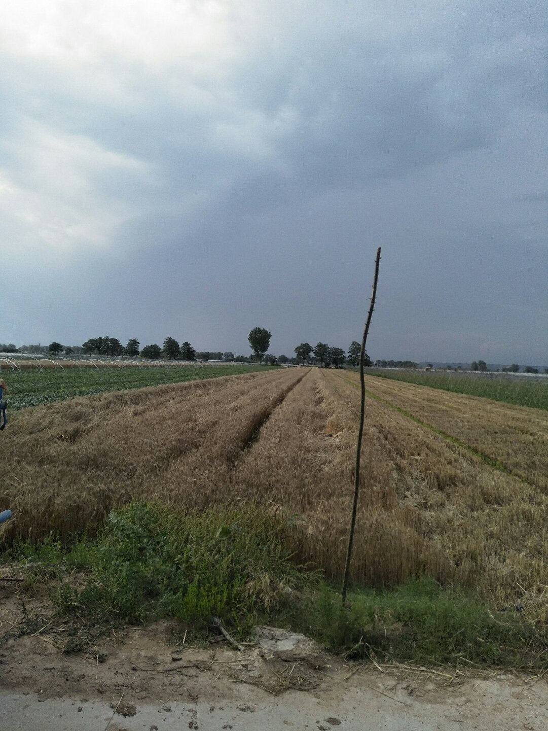 蒲城天氣預(yù)報，暖陽下的友情時光