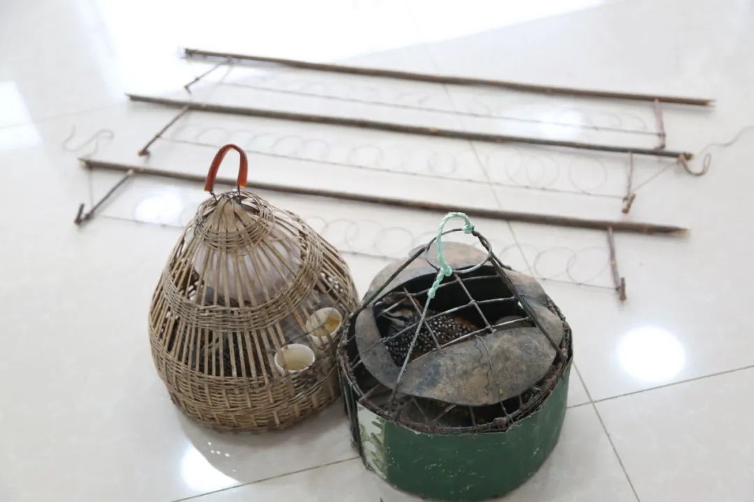 小巷中的神秘寶藏揭秘，最新捕鳥工具揭秘