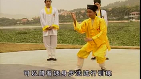 太極最新音樂，傳統(tǒng)與現(xiàn)代的完美融合藝術(shù)展現(xiàn)