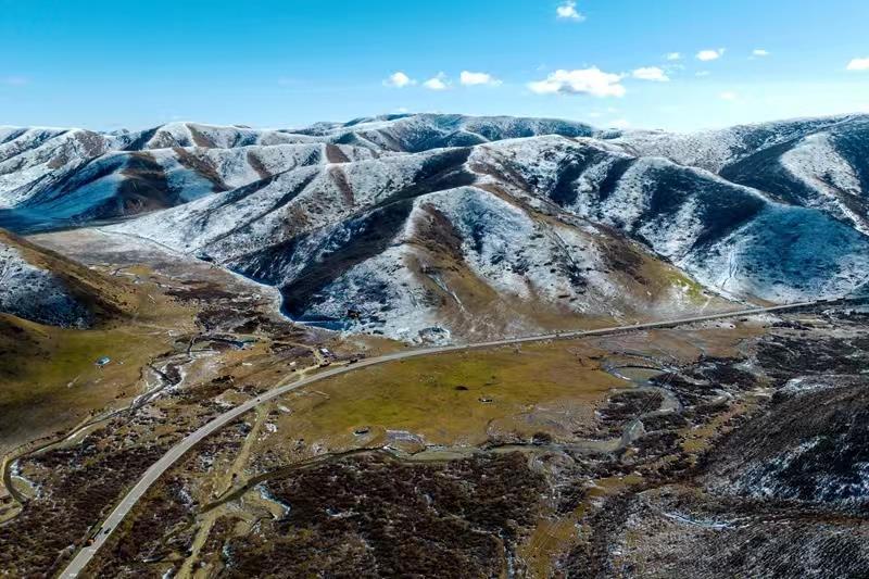 蘭西最新新聞，學(xué)習(xí)之光，自信與成就感的源泉