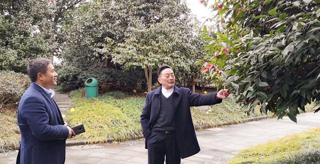 最新花木求購，開啟一場尋綠之旅的溫馨旅程