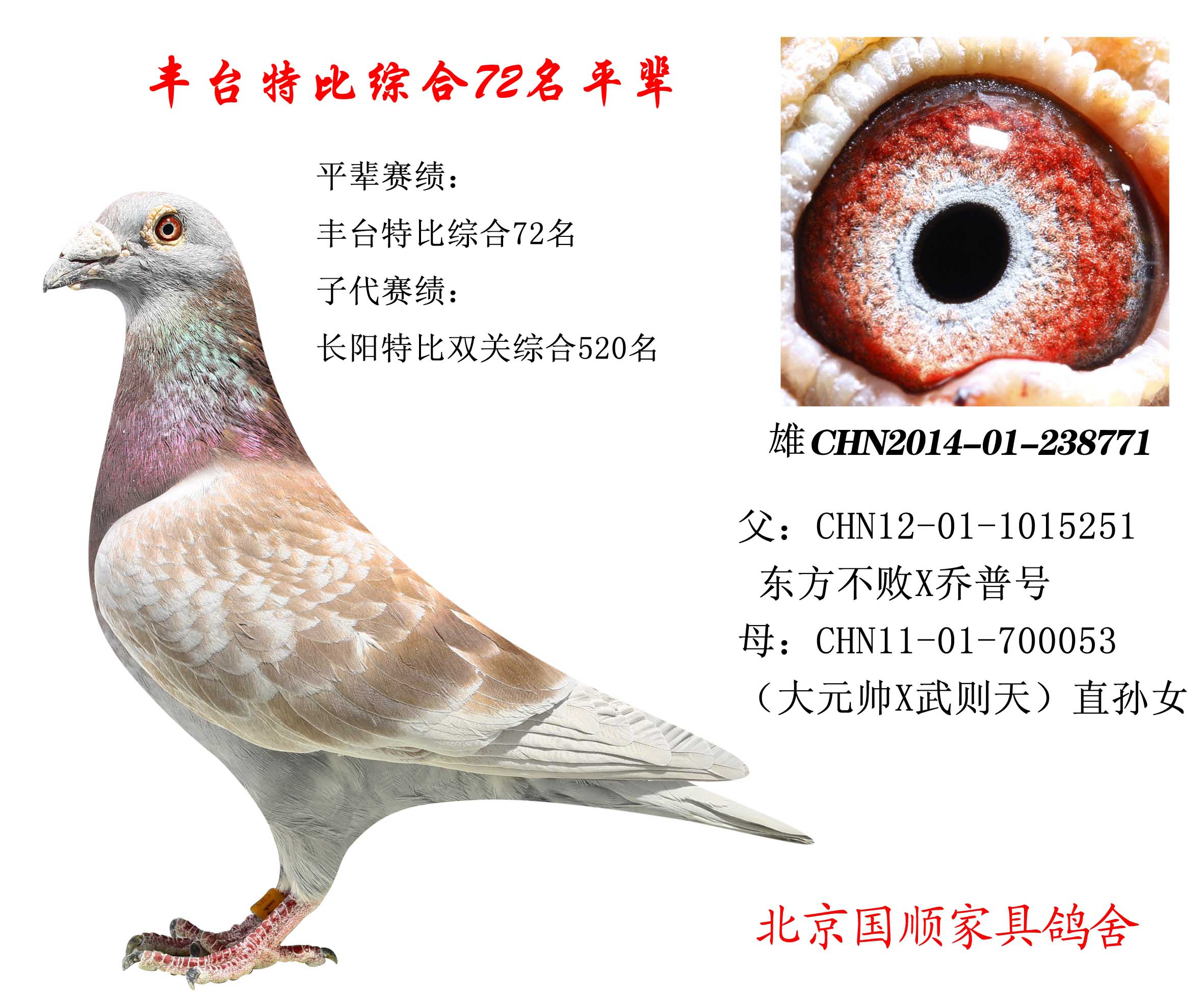 燈飾燈具 第113頁