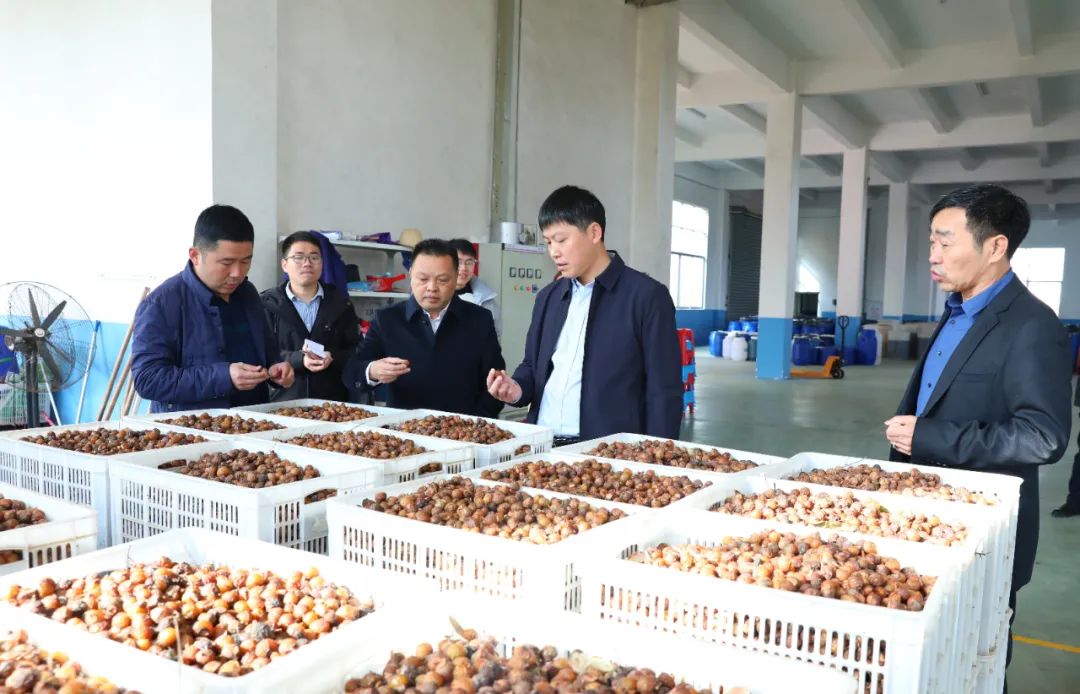 建寧最新新聞，城市溫馨日常與友情力量的展現(xiàn)