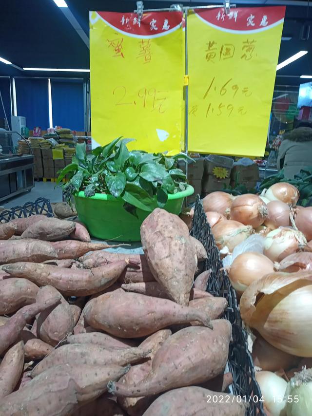 最新地瓜價(jià)格解析，查詢指南與任務(wù)攻略