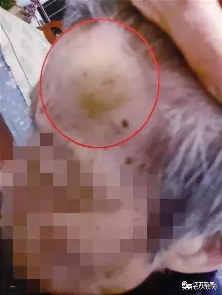 揪脖子最新視頻，探秘小巷風情小店，獨家揭秘！