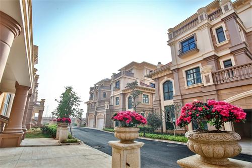 新泰最新樓盤，城市發(fā)展與居住品質(zhì)的新篇章