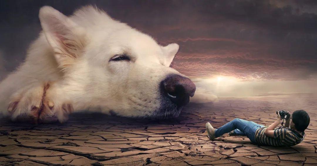 夢(mèng)境最新研究揭秘，探索人類夢(mèng)境的奧秘