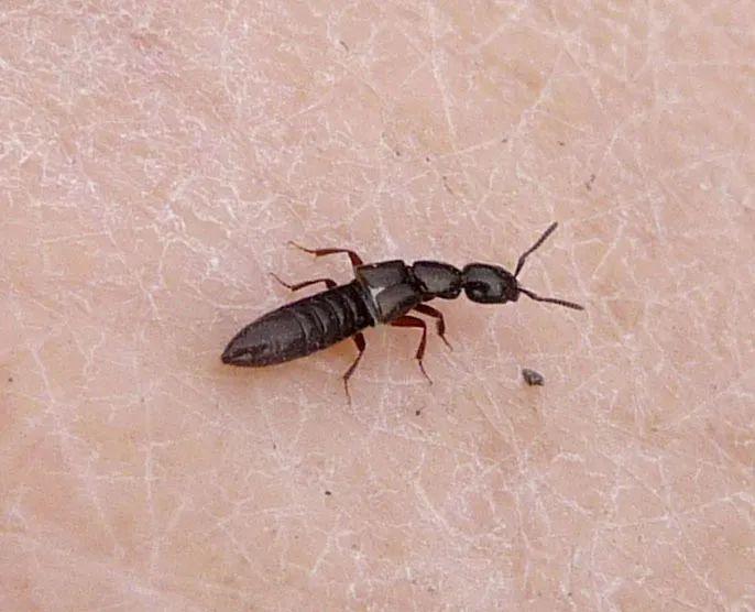 高效應(yīng)對(duì)問(wèn)題關(guān)鍵策略，最新處理方法詳解