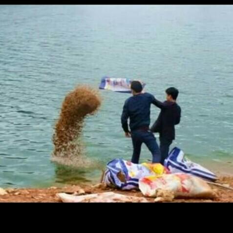 科學(xué)釣魚最新探索，學(xué)習(xí)與實(shí)踐的成就感之旅