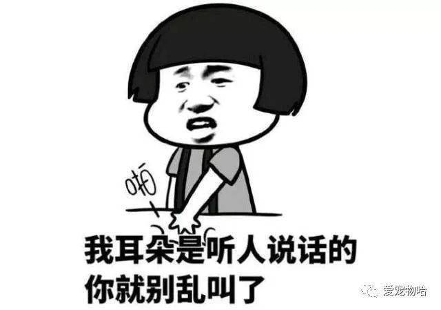 最新枕邊笑話，科技小寶貝，生活添樂趣