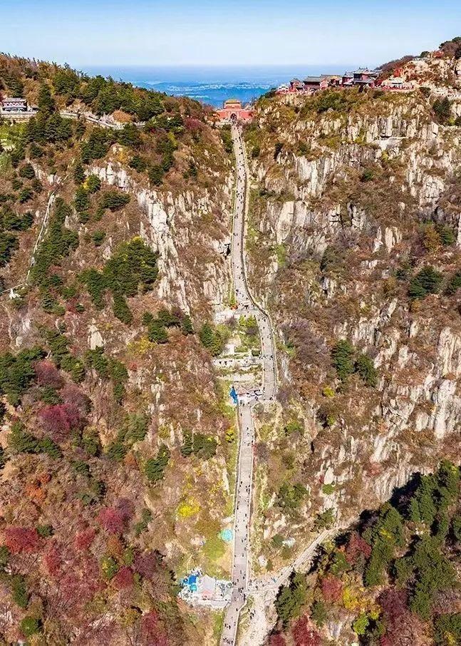 泰山最新聞，觀點(diǎn)與立場(chǎng)的深度探討