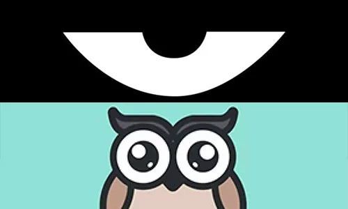 最新積目，全面解讀與觀點(diǎn)闡述