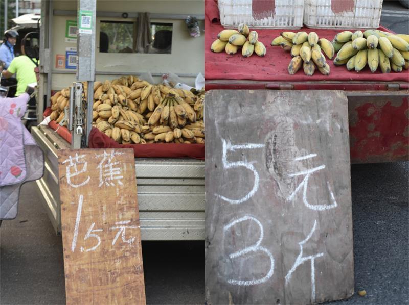 芭蕉最新價(jià)格，開(kāi)啟心靈平靜的綠色之旅