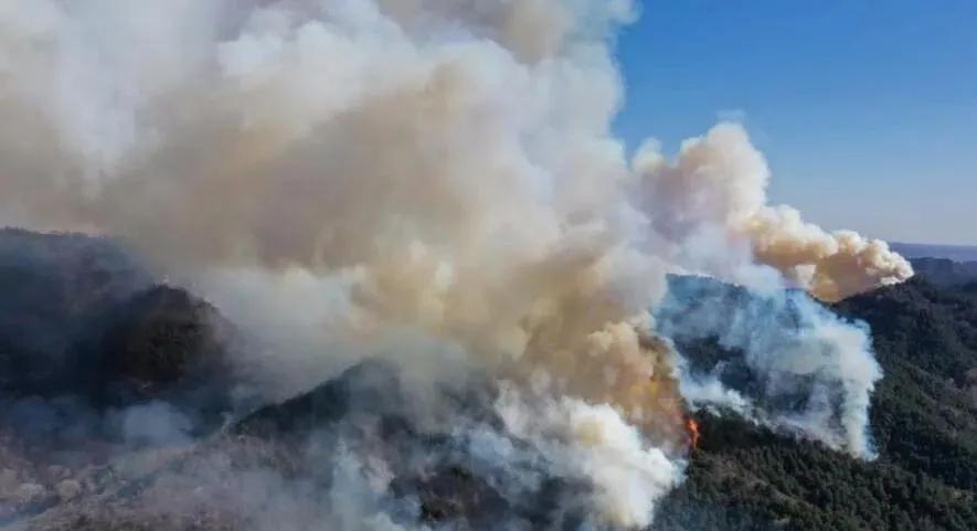 榆社山火防控指南，從初學(xué)者到進階用戶的全步驟學(xué)習與防火任務(wù)實踐