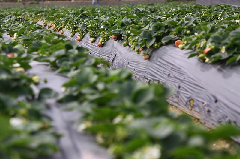 湖北最新封鎖，科技智能重塑防線，守護生活安全