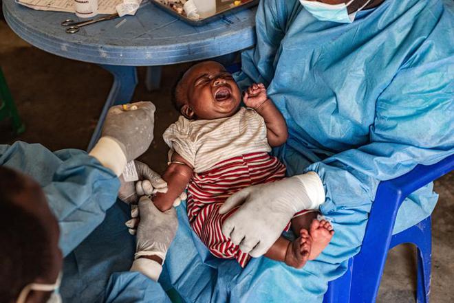 本土感染最新情況，自然美景中的探索之旅