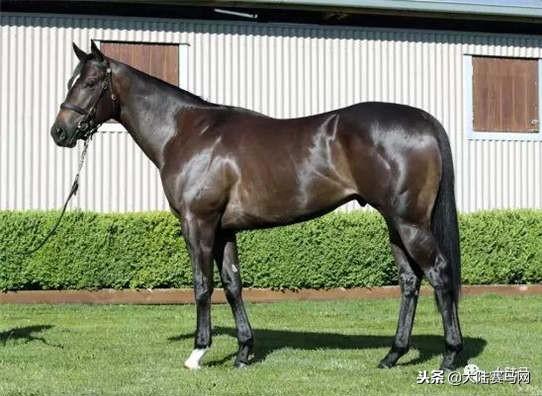 卡拉卡最新指南，任務(wù)完成與技能學(xué)習(xí)步驟攻略