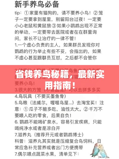 最新養(yǎng)鳥(niǎo)法規(guī)解析，觀(guān)點(diǎn)闡述與深度探討