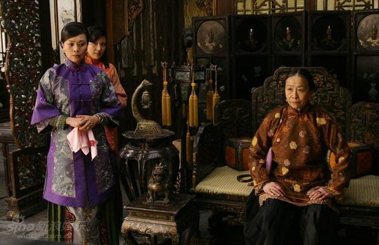 鐵梨花最新更新，日常生活中的趣事與情感紐帶