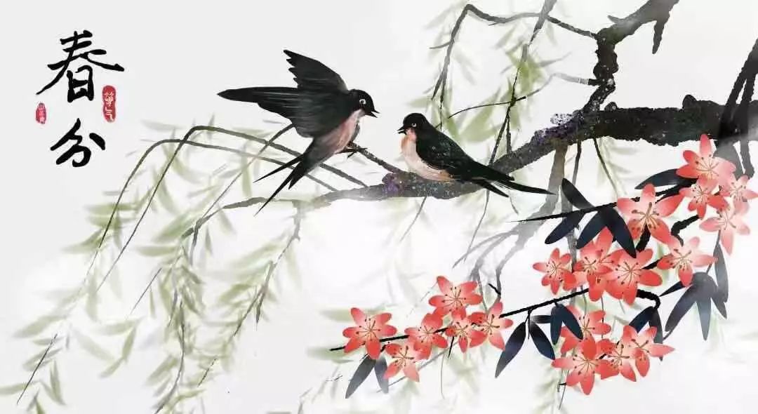 春分最新圖片，展現(xiàn)自然之美的瞬間