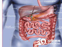 高科技產(chǎn)品重塑生活，體驗(yàn)前沿魅力，探索腸鳴最新技術(shù)