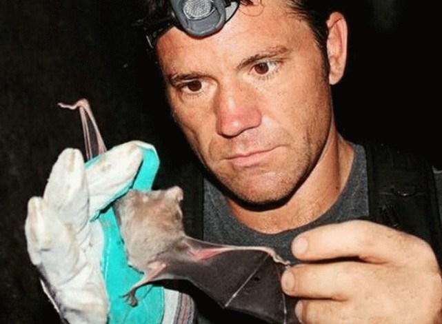 蝙蝠最新電影，自信與成長的翅膀，勵志翱翔天空之旅