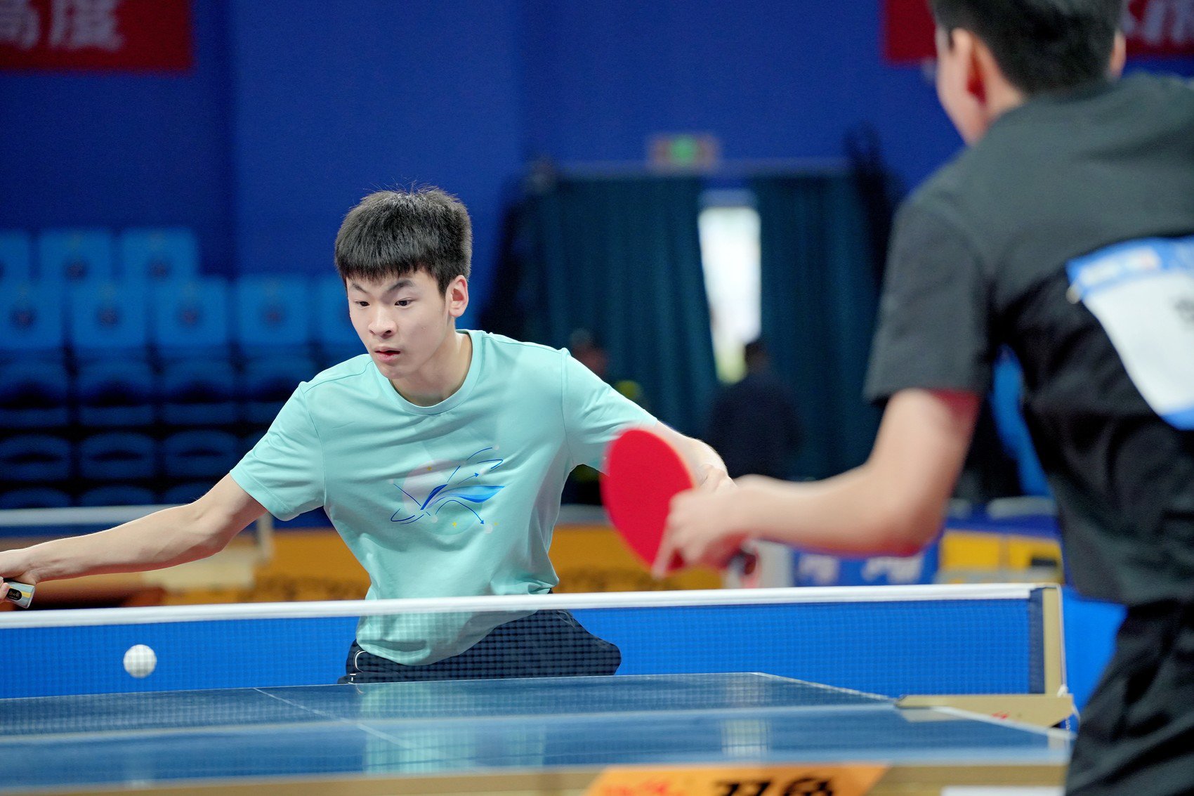 乒乓比賽最新動(dòng)態(tài)與成長(zhǎng)指南，一步步成為乒乓高手之路