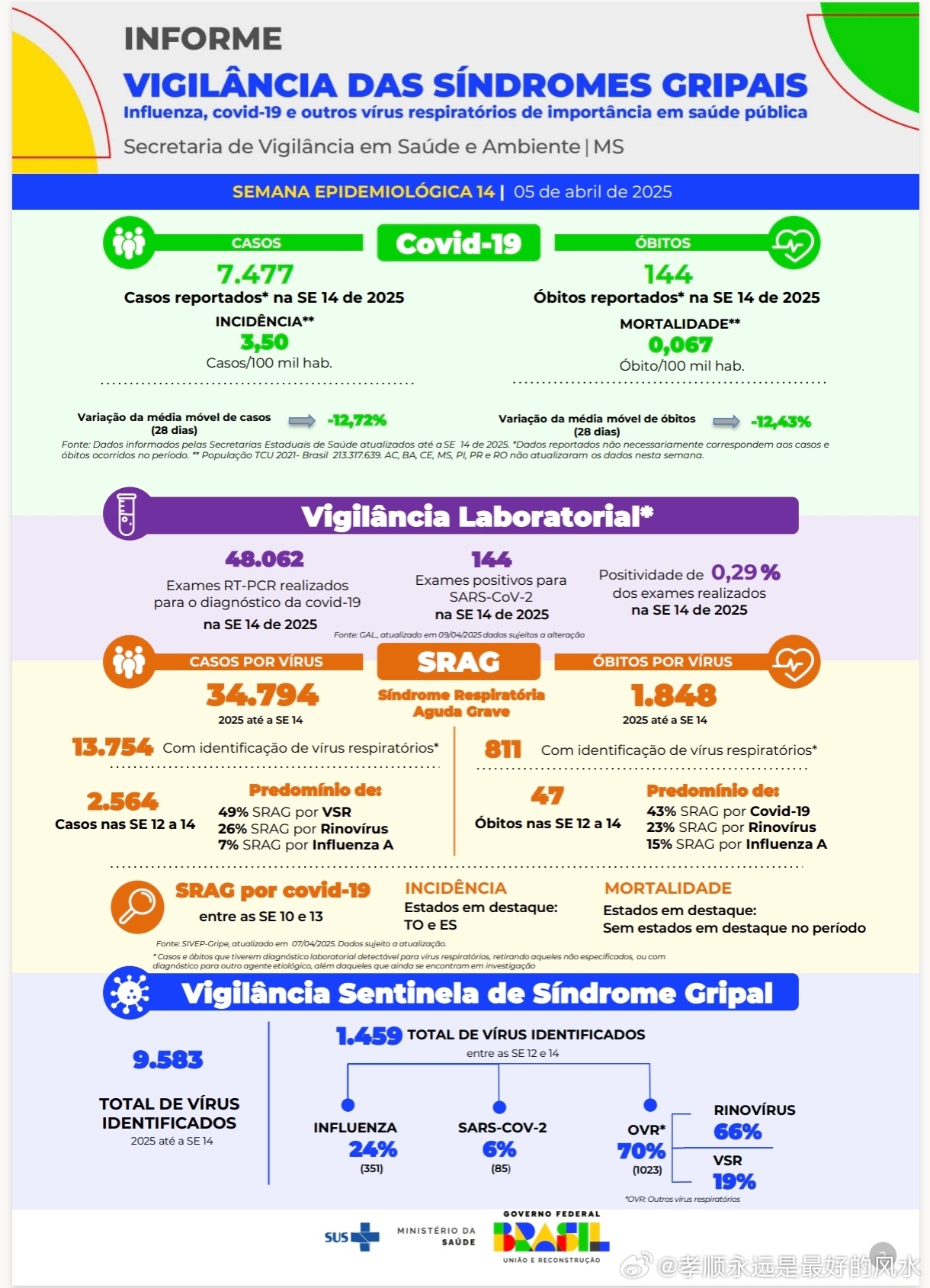 巴西最新疫情動態(tài)，變化中的力量與學習帶來的自信與成就感