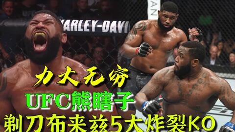 小菊最新比賽，友誼與夢想的絢爛綻放