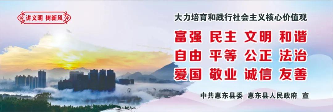 惠州肺炎最新動(dòng)態(tài)，小巷深處的獨(dú)特小店背后的故事