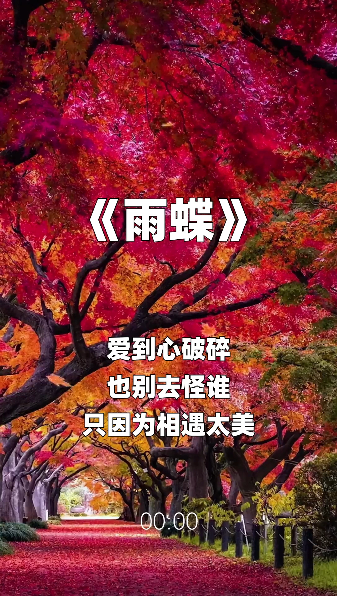 雨蝶最新步驟指南，如何完成任務(wù)或?qū)W習(xí)技能？