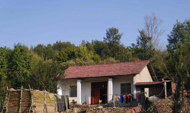 新時代田園生活揭秘，鄉(xiāng)村農(nóng)村的最新風貌與體驗