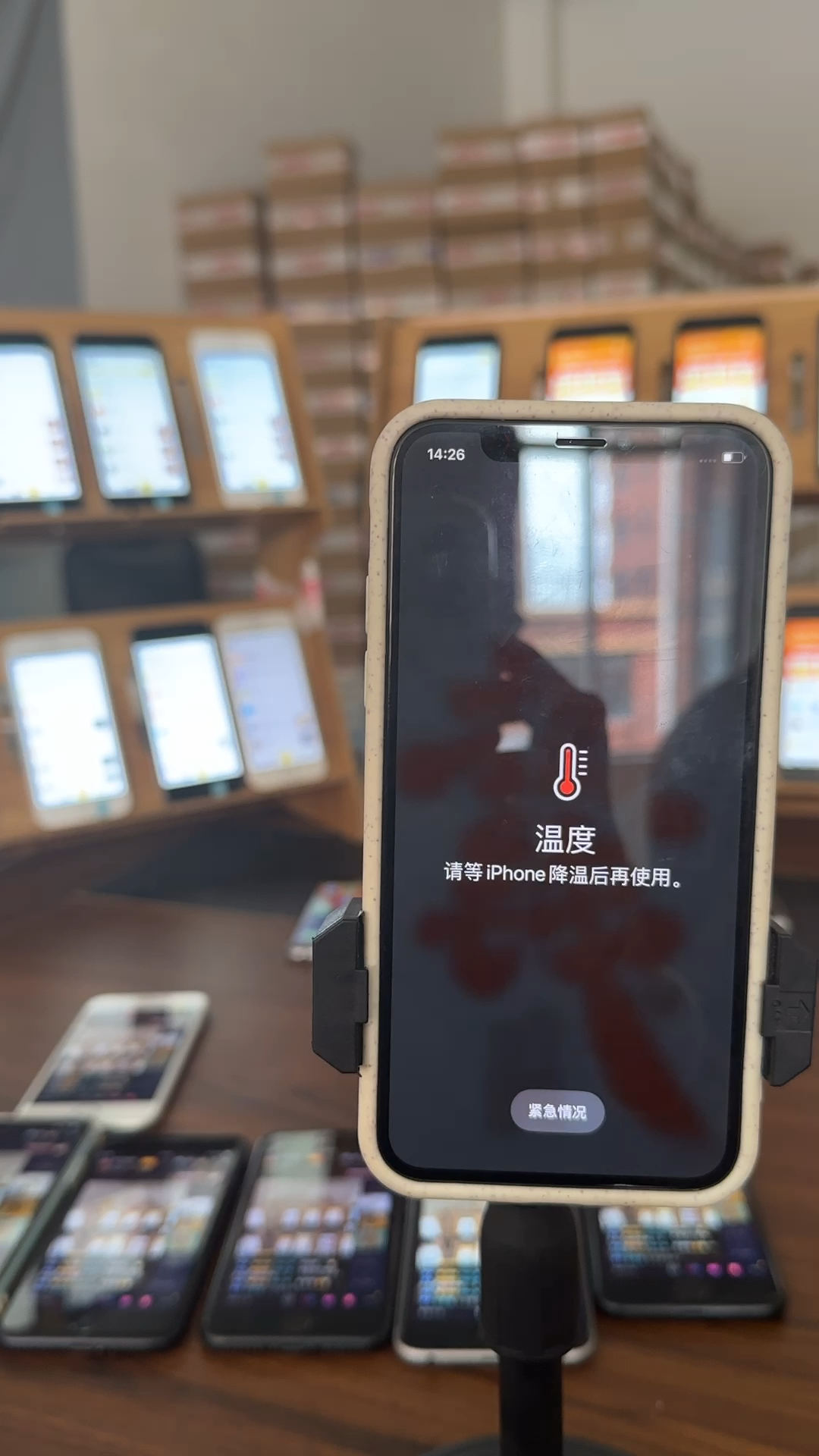 蘋果最新直播，科技與文化的完美融合盛宴