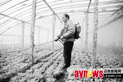 最新農(nóng)藥抽檢結(jié)果出爐，守護(hù)農(nóng)田安全，你我他的共同責(zé)任