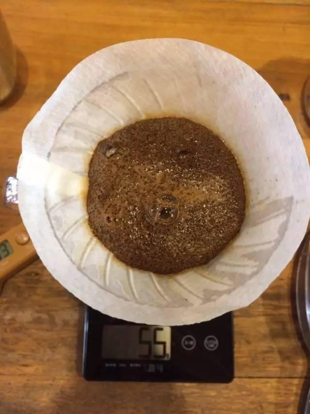 最新萃取法詳解，步驟指南與操作技巧