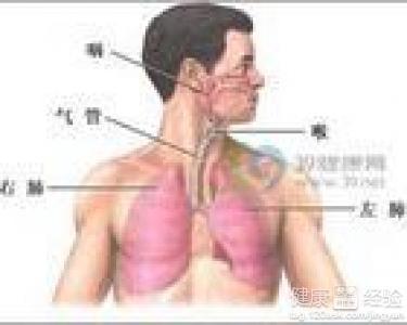 咸豐肺炎最新全面指南與詳解，癥狀、治療、步驟解析