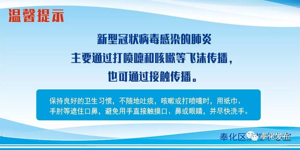 余姚最新確診背后的自然探索之旅，重拾心靈寧靜與平和