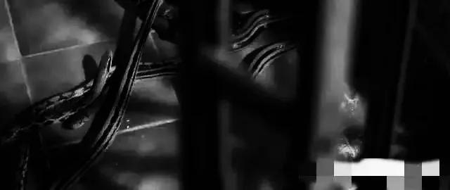 香港最新房價趨勢展望，2025年分析與展望