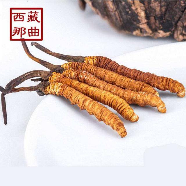 揭秘2025年蟲草最新價格，探尋小巷中的秘密行情！