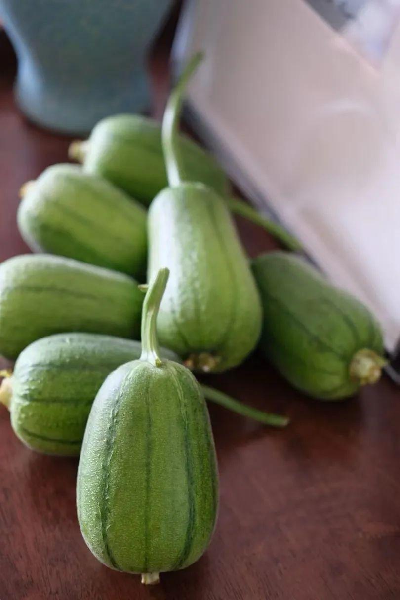 蘋(píng)果絲瓜最新版，全新升級(jí)魅力體驗(yàn)