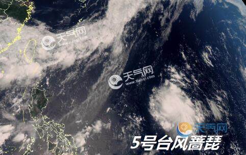 最新實時臺風風力查詢指南，風力信息及查詢步驟全解析