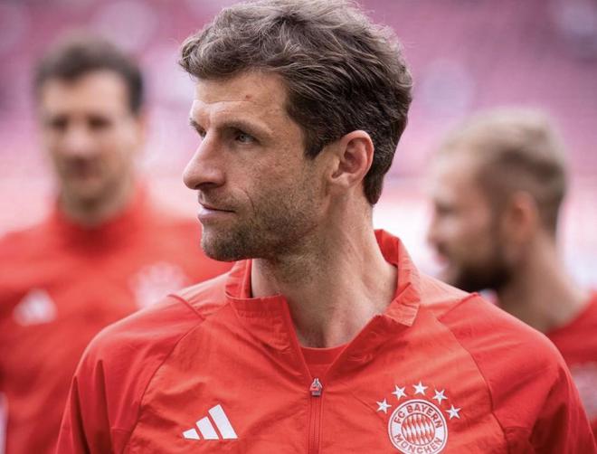 慕尼黑最新動態(tài)，城市生活的溫馨日常